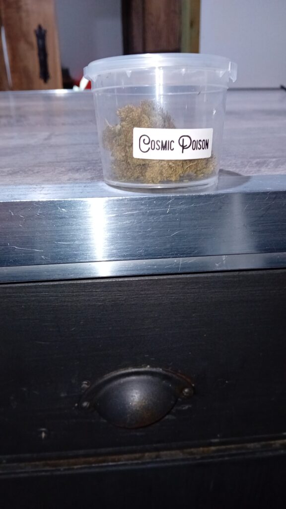 Immagine #1 da Loredana Floris