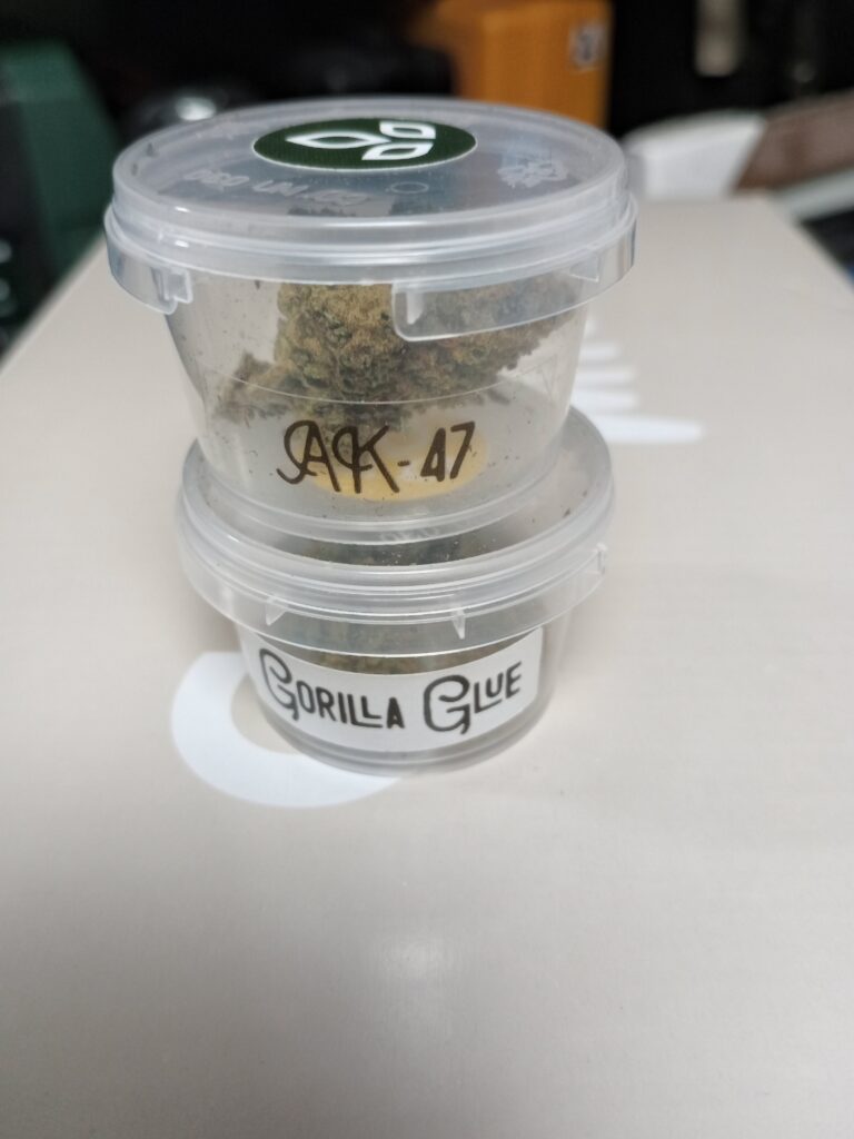 Immagine #1 da Kobra