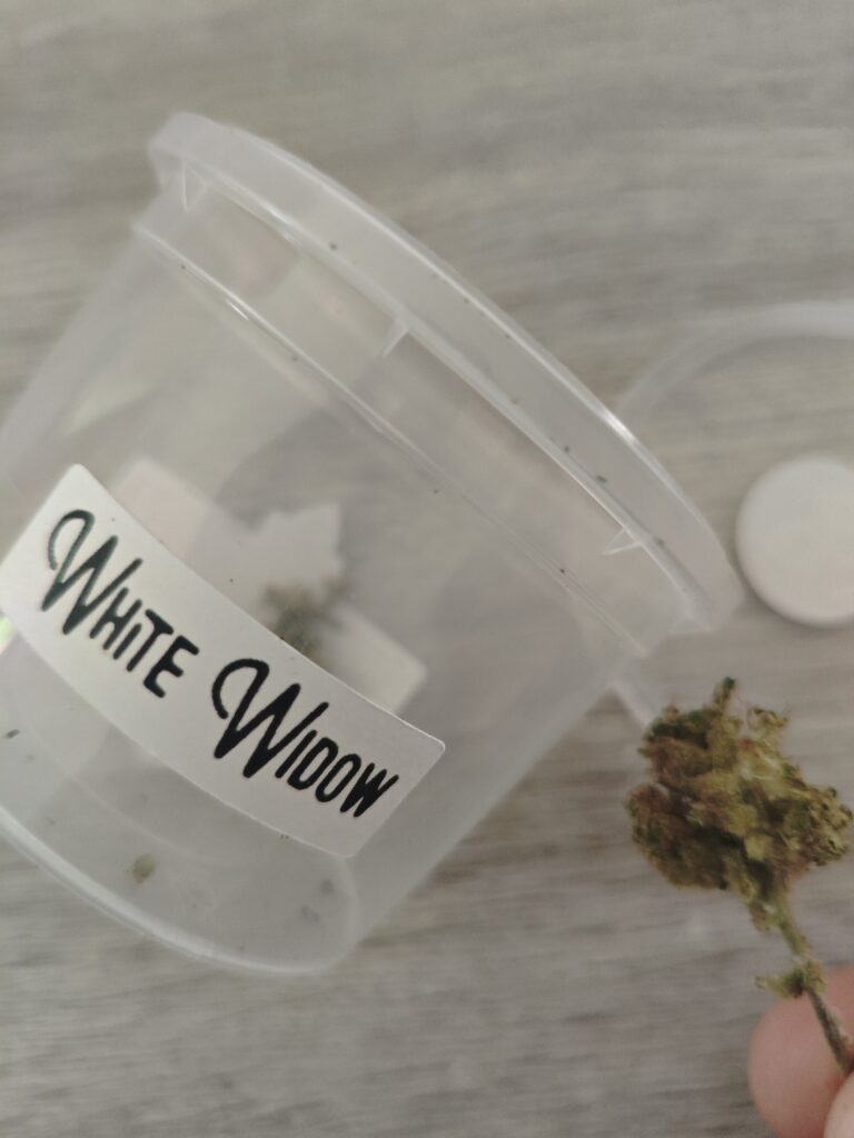 Immagine #1 da Nicola Giustino