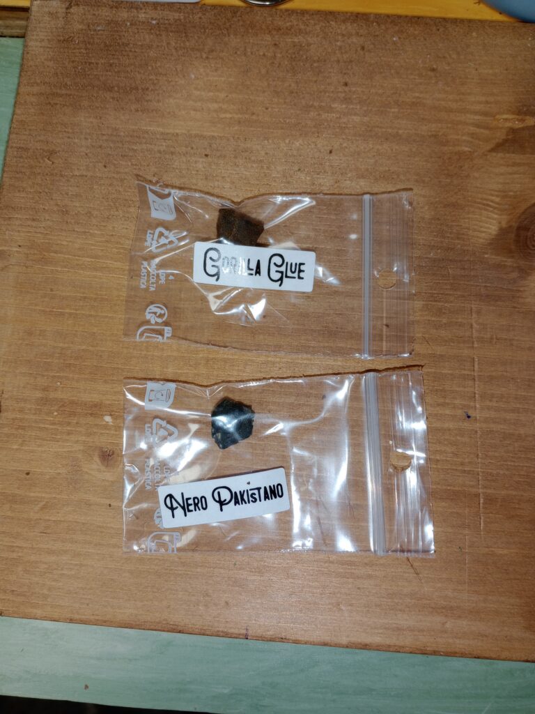 Immagine #1 da Andrea