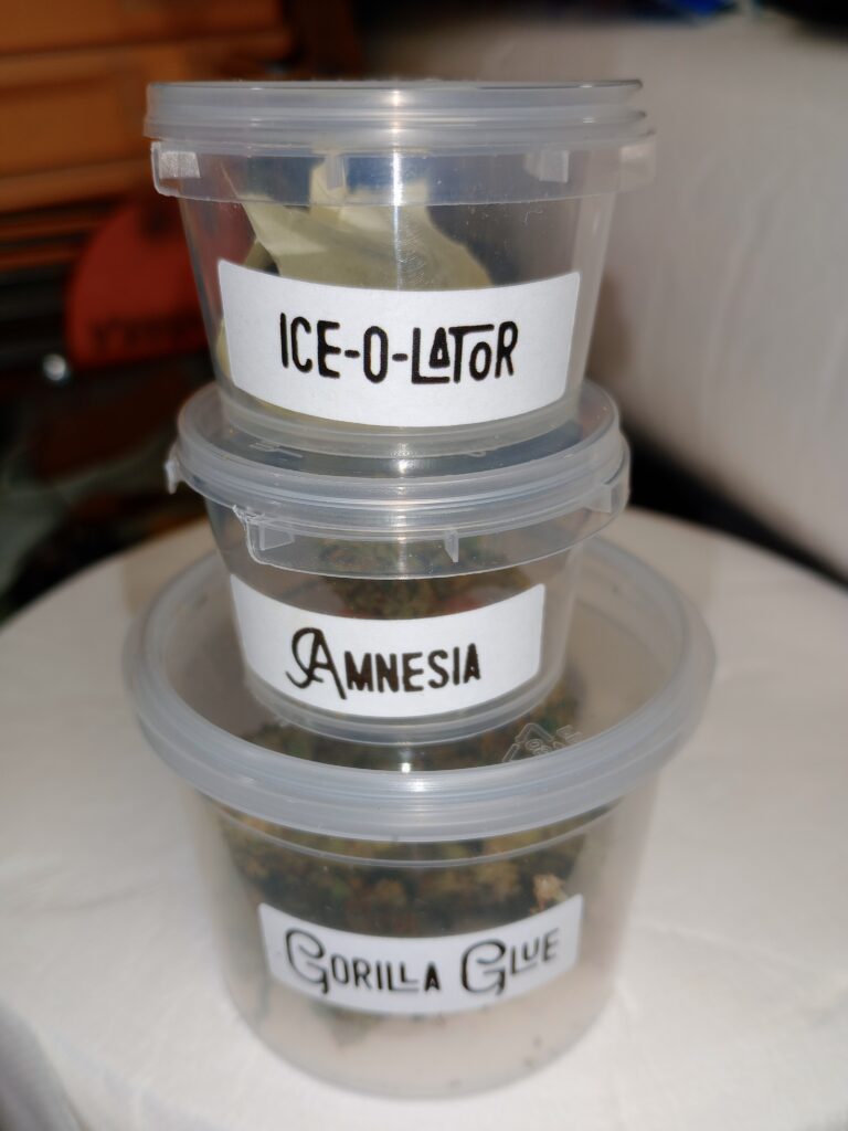 Immagine #1 da Kobra