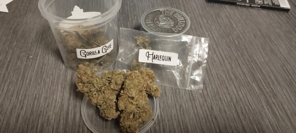 Immagine #1 da Michele Mazzeo