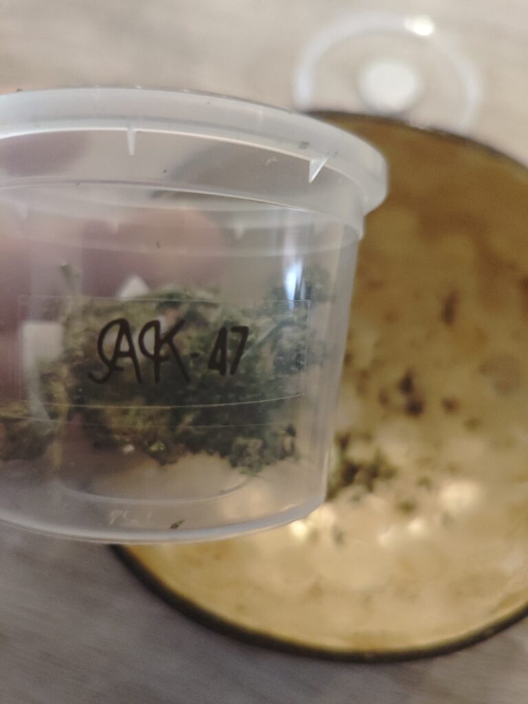 Immagine #1 da Giustino Nicola