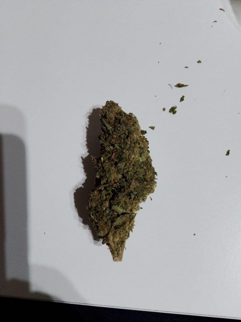 Immagine #1 da Andrea