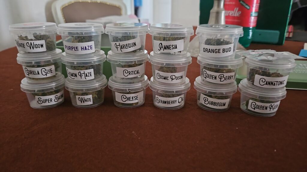 Immagine #1 da Francesco Formaggi