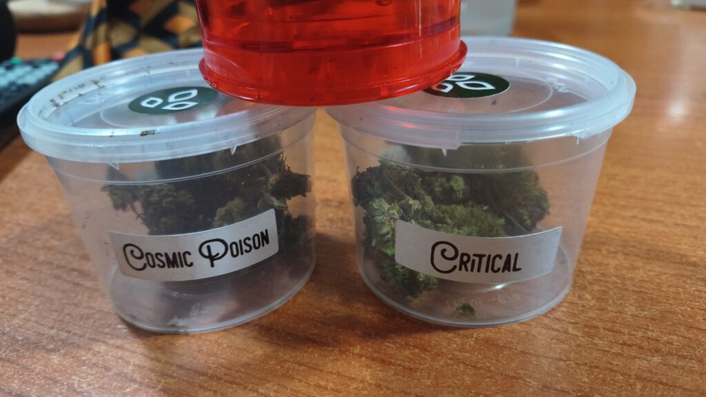 Immagine #1 da Simona