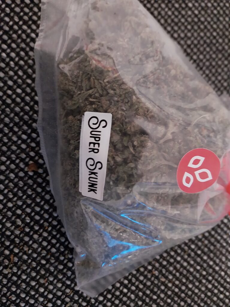 Immagine #1 da Domenico