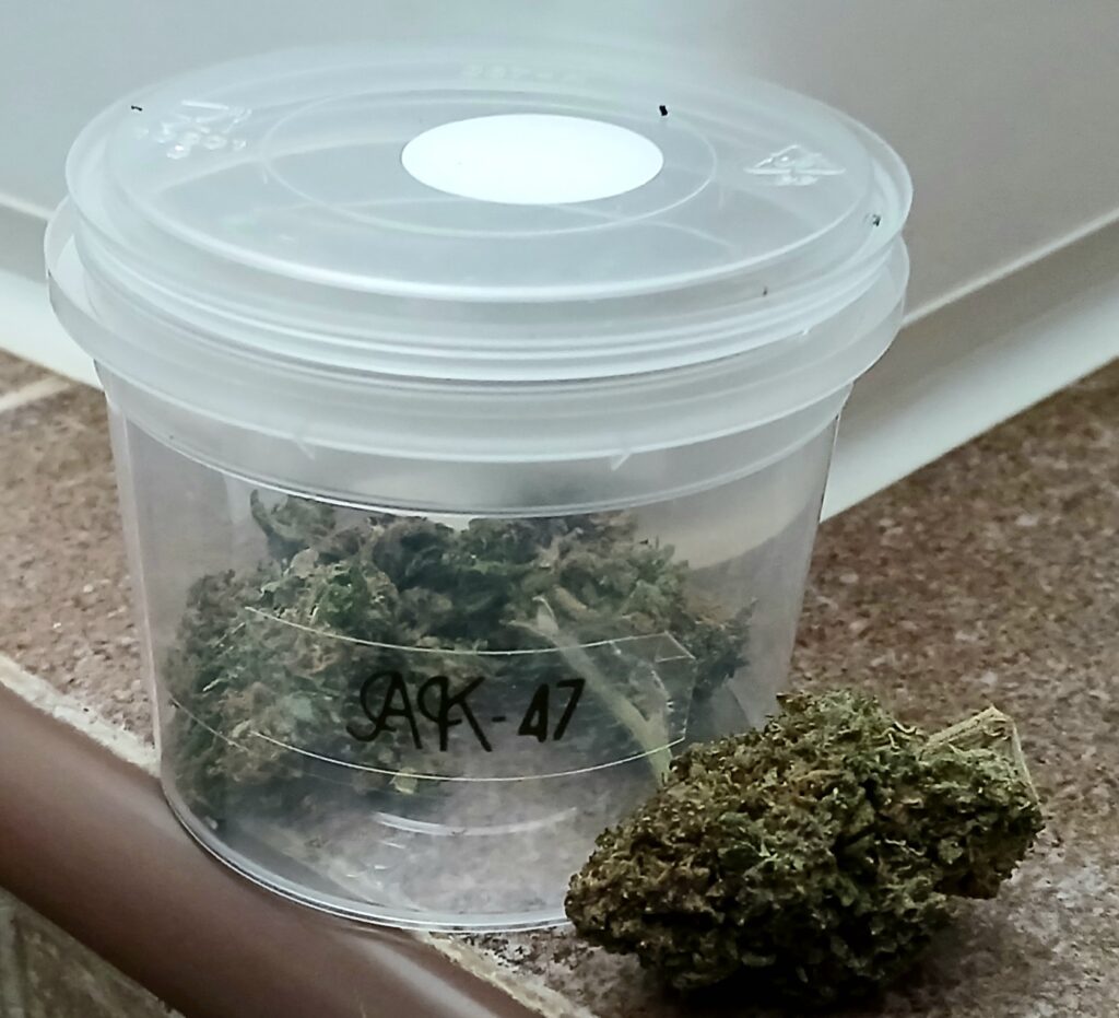 Immagine #1 da Paolo