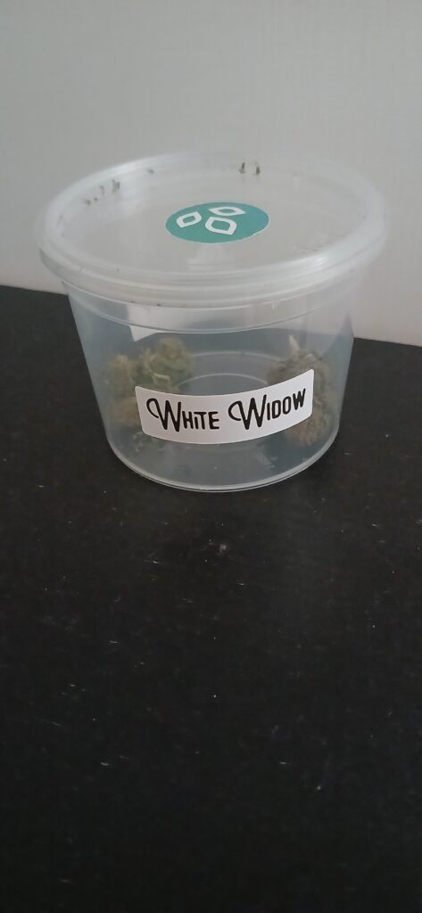 Immagine #1 da Paolo