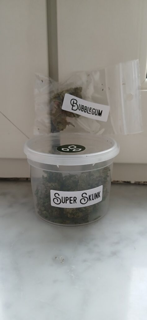 Immagine #1 da Paolo