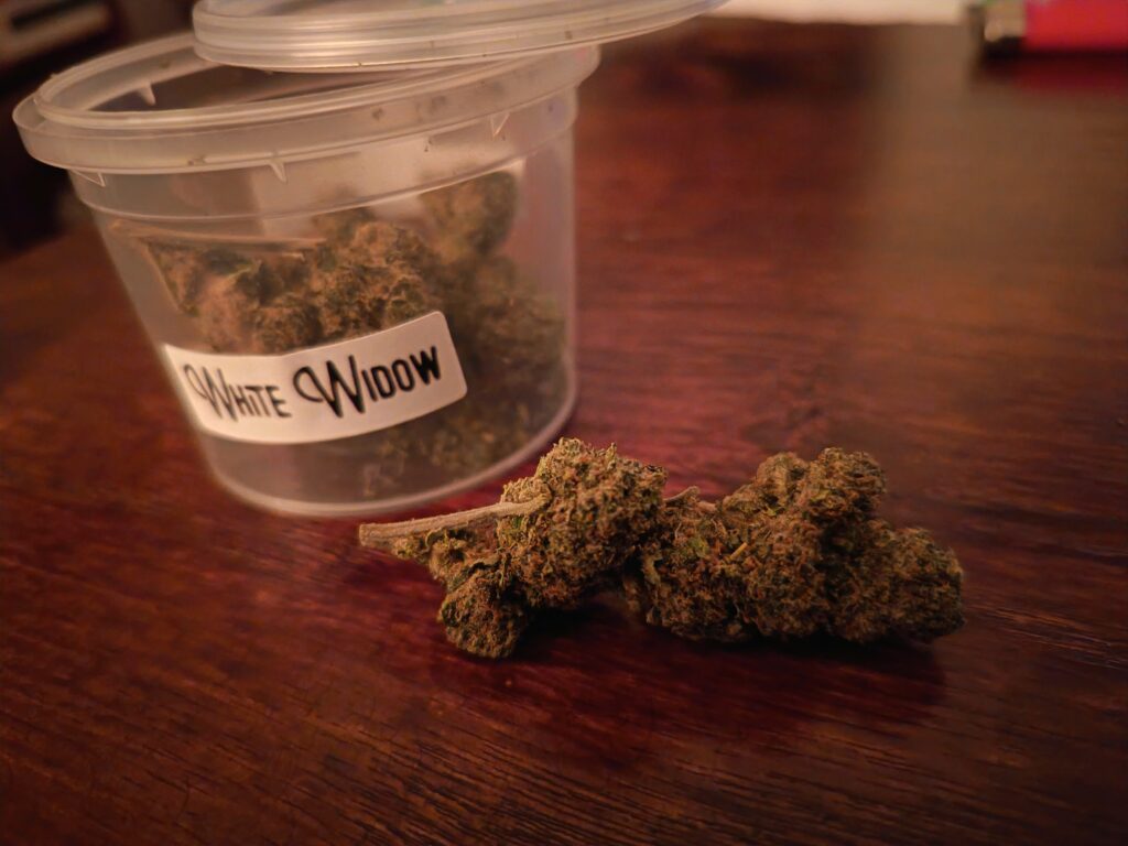 Immagine #1 da Elia.