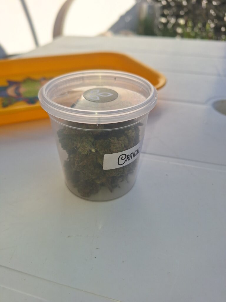 Immagine #2 da Andrea Maurantonio