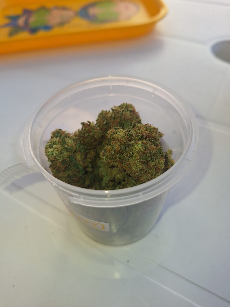 Immagine #1 da Andrea Maurantonio