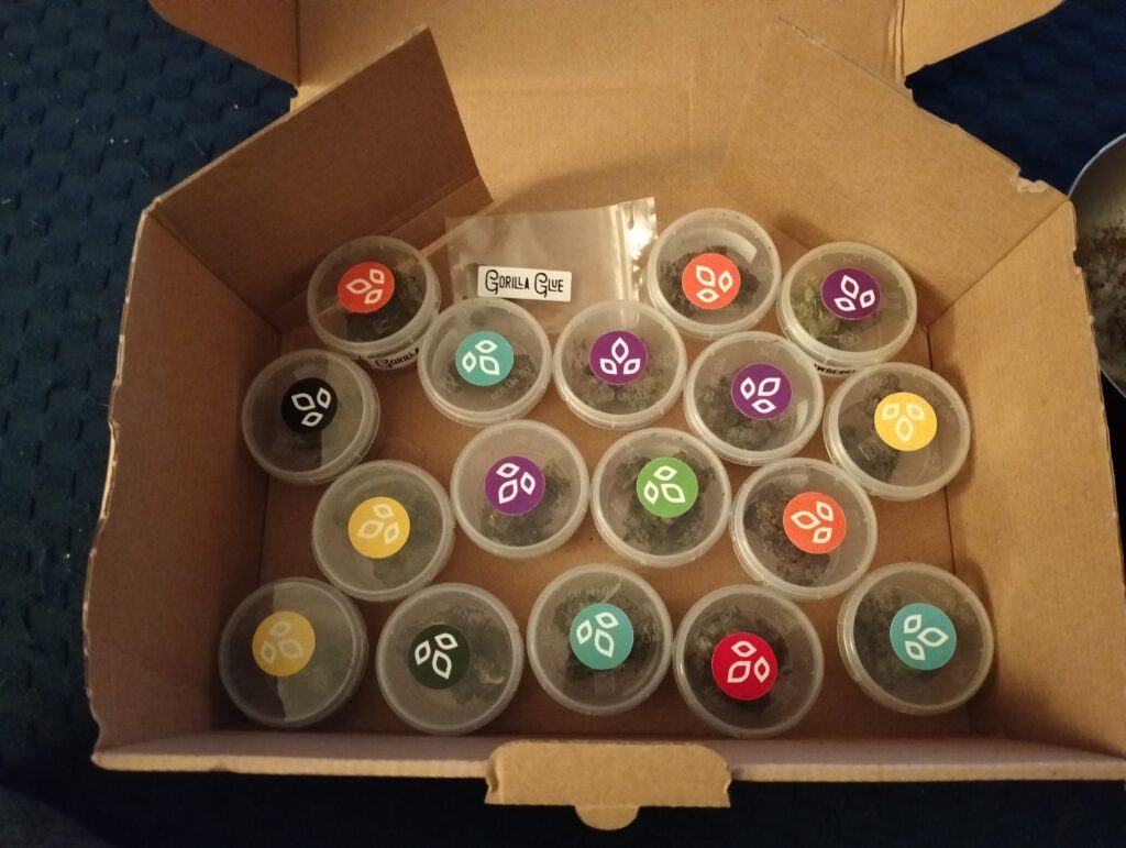 Immagine #1 da Emanuele