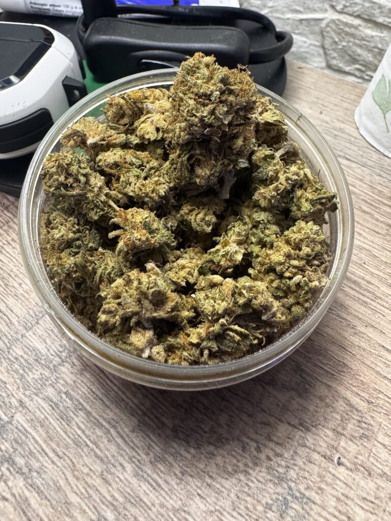 Immagine #1 da Andrea Cattani