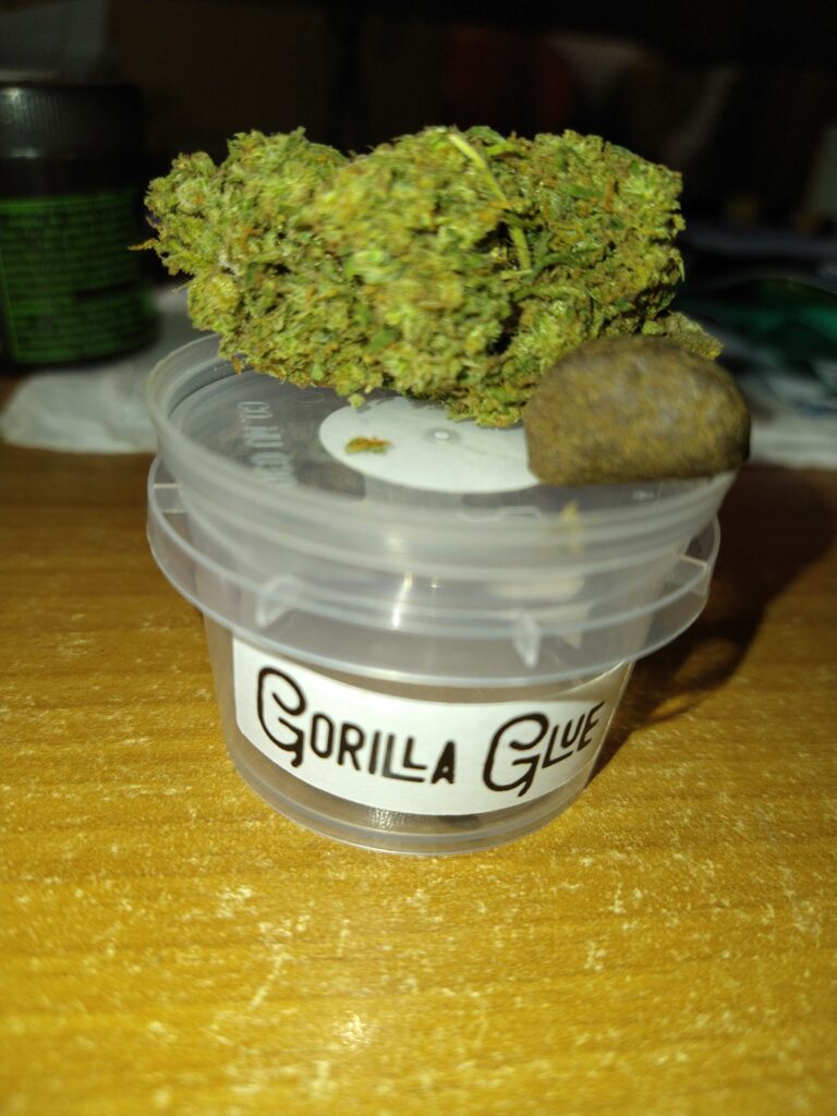 Immagine #1 da Sandro