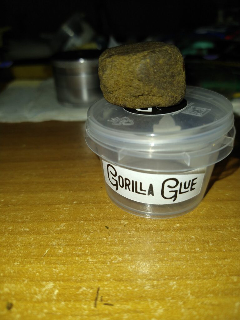 Immagine #1 da Sandro