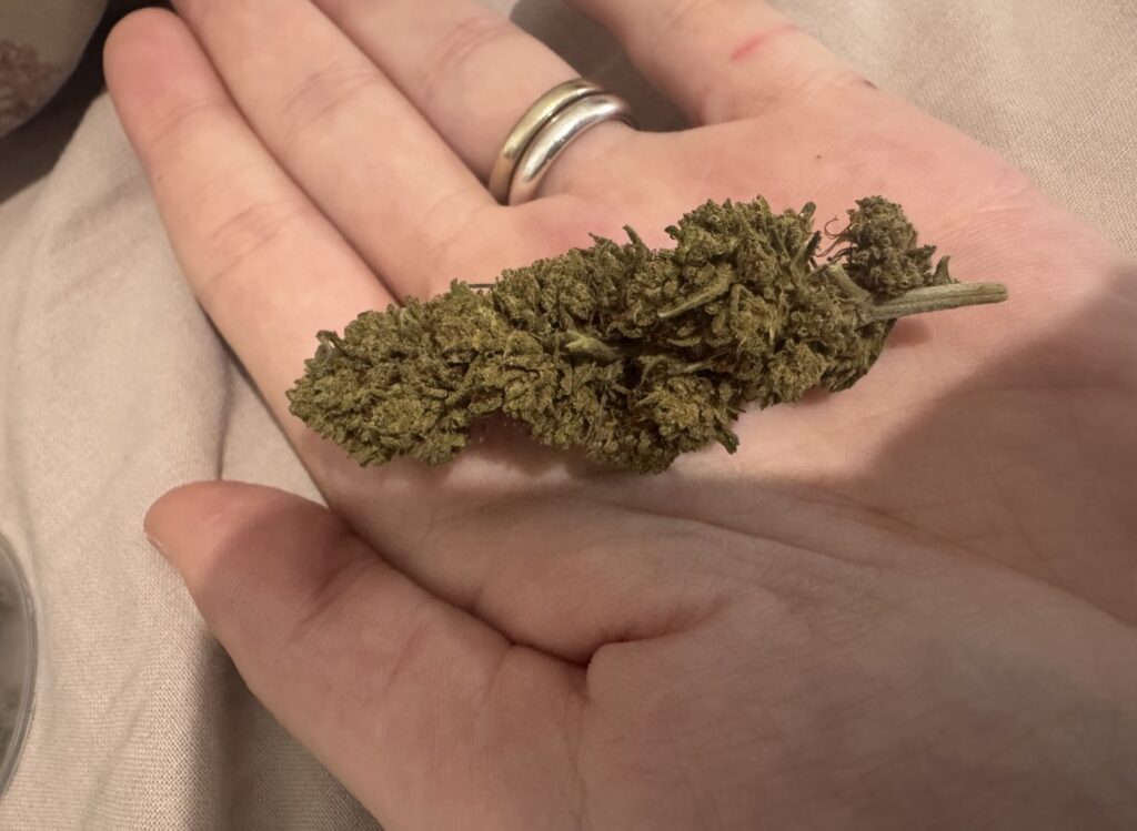 Immagine #1 da Evelina