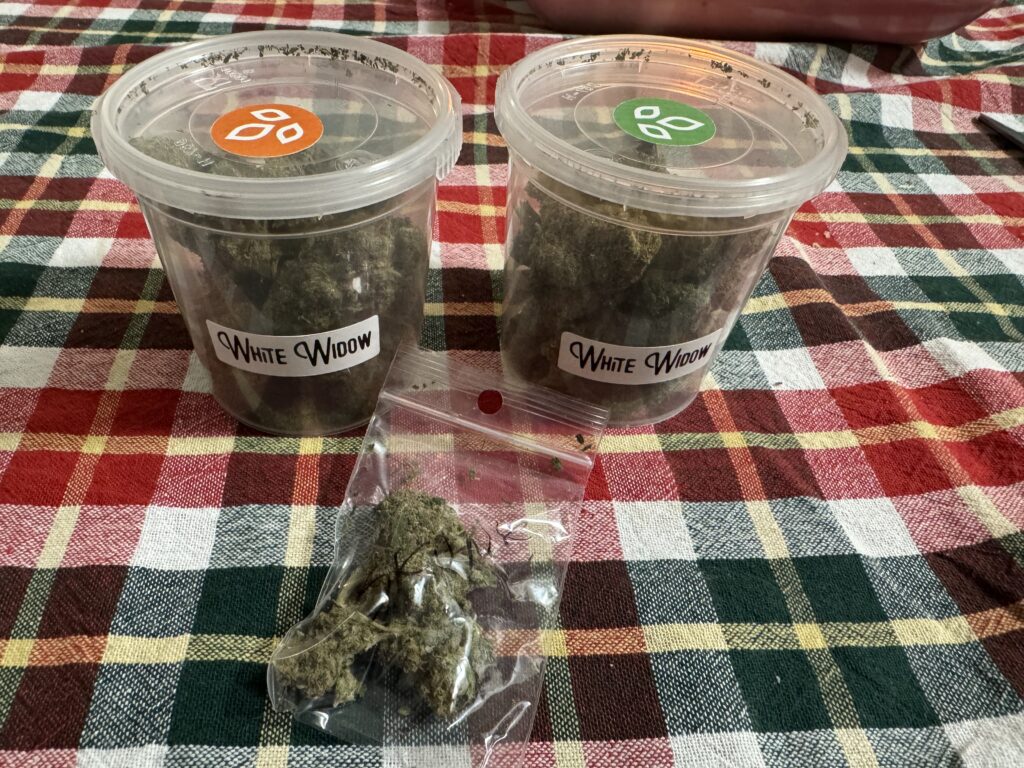 Immagine #1 da Evelina Cabras