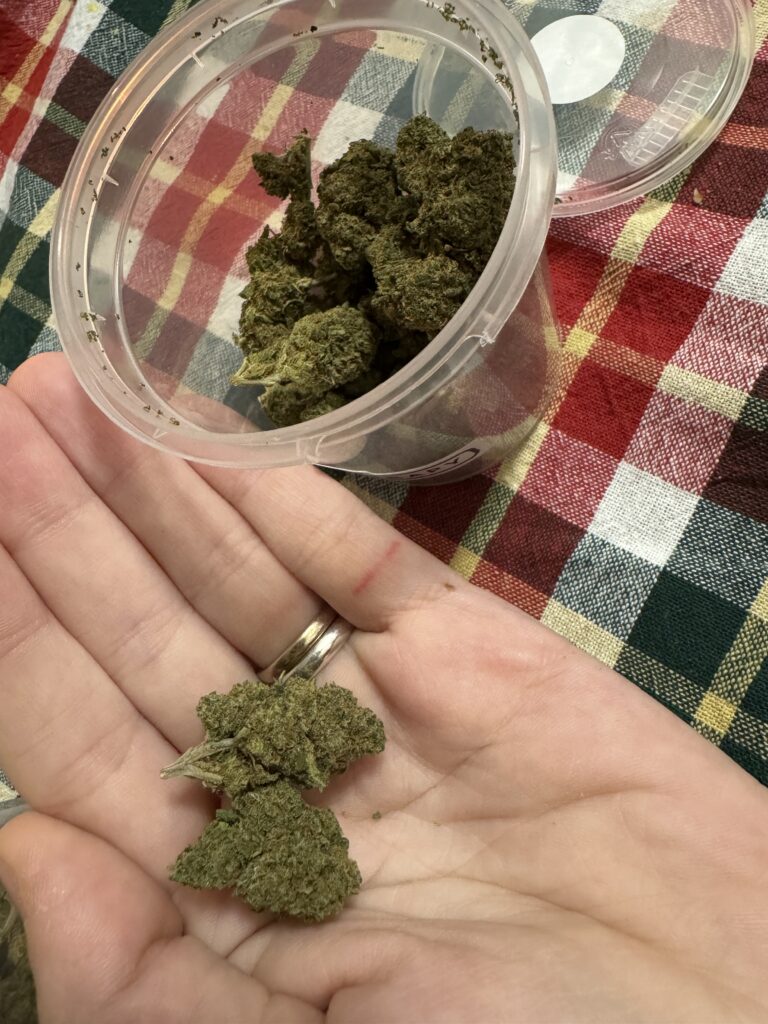 Immagine #2 da Evelina Cabras