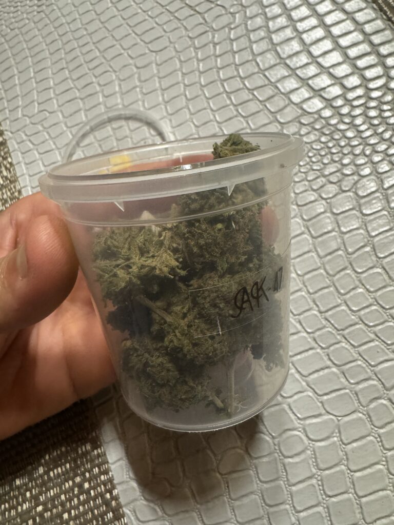 Immagine #2 da daniele bonacina