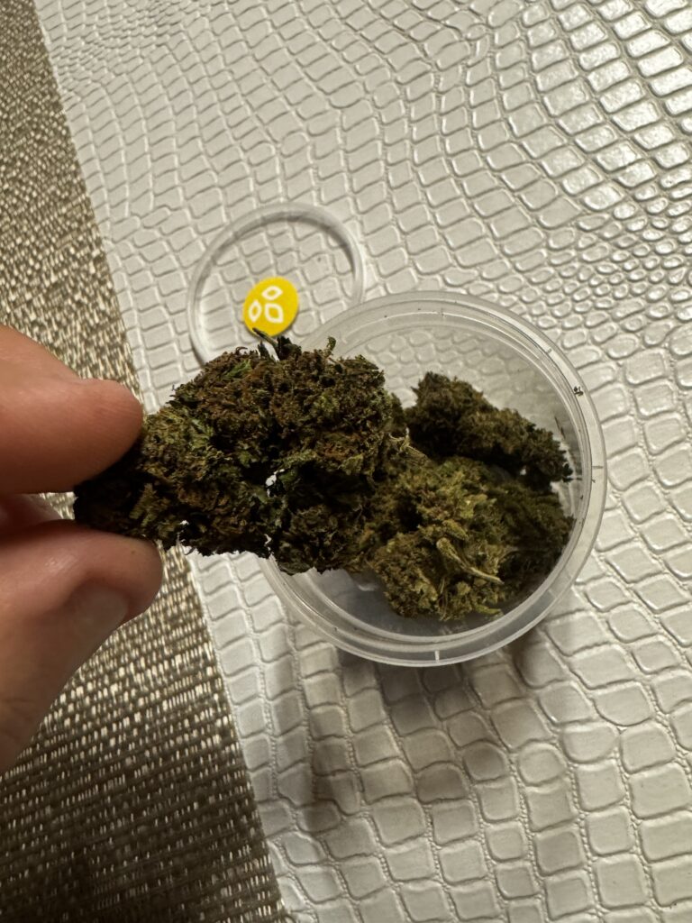 Immagine #1 da daniele bonacina