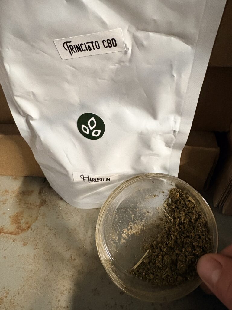 Immagine #1 da Piero