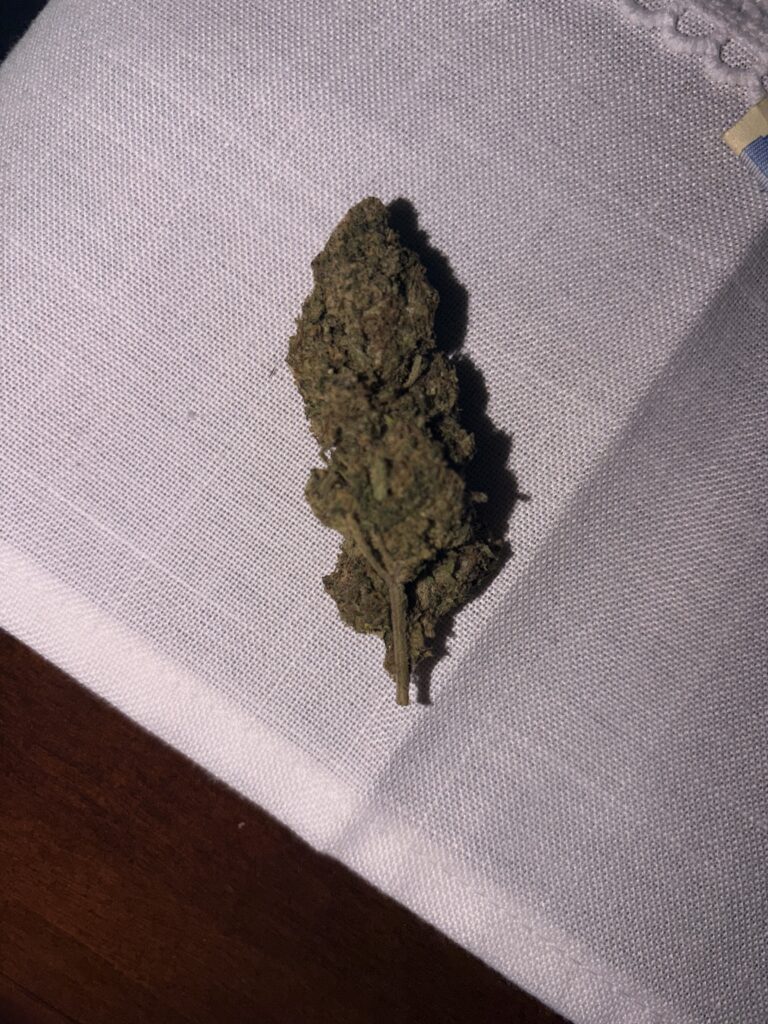 Immagine #2 da Manuel