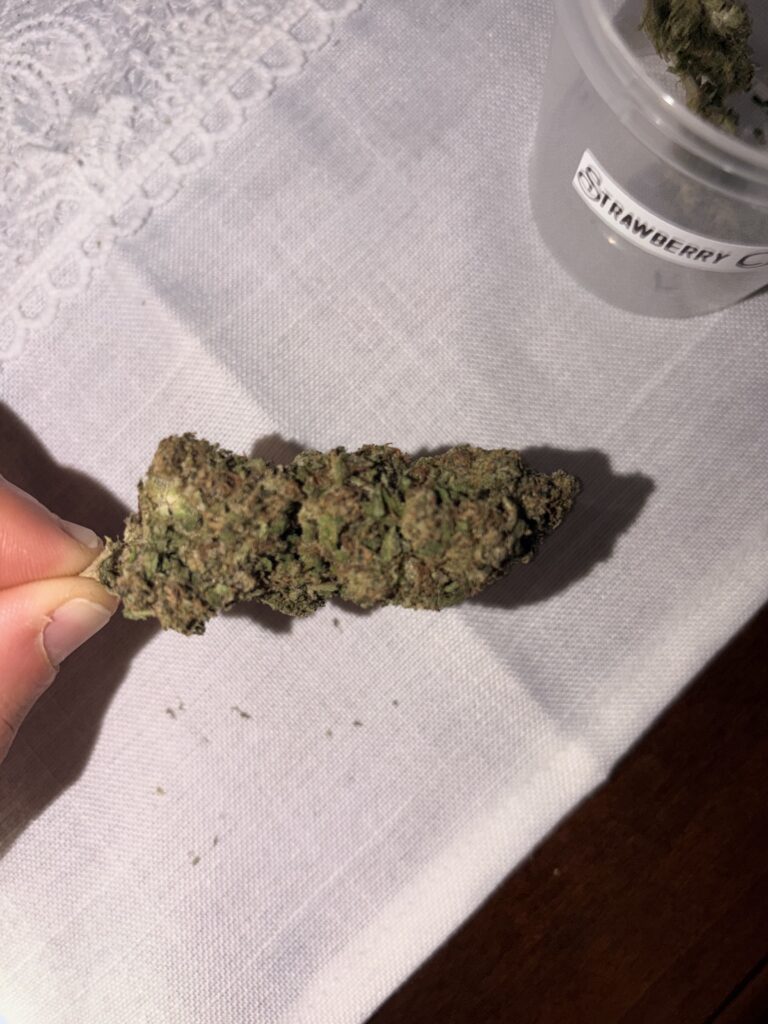 Immagine #1 da Manuel