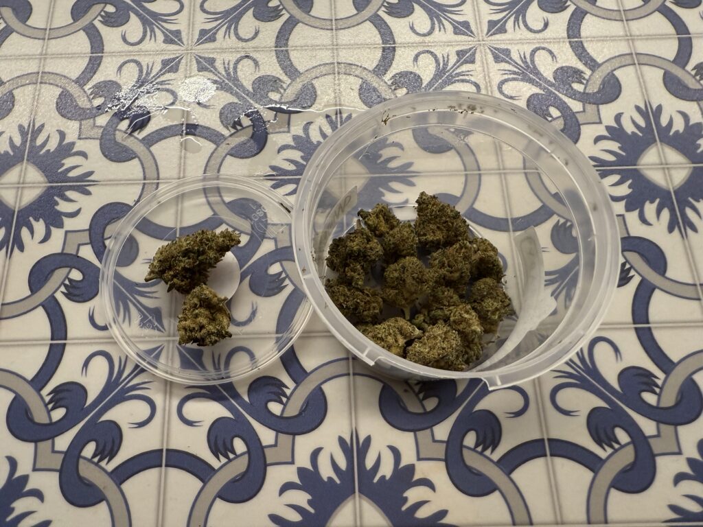 Immagine #1 da Leonardo