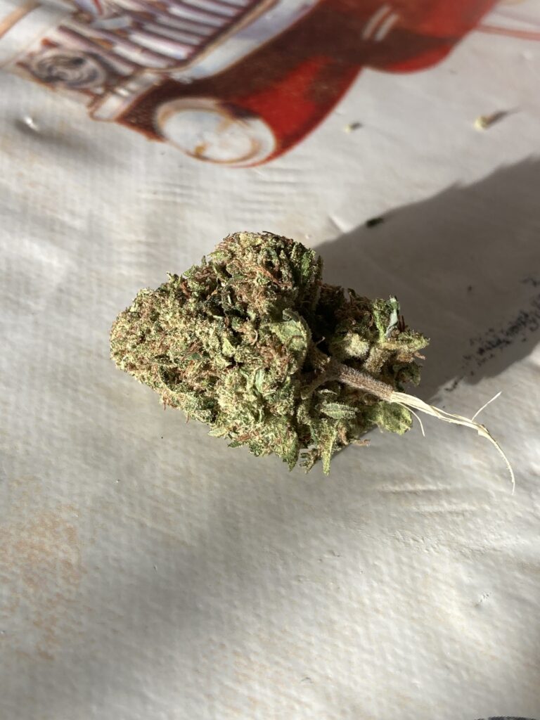 Immagine #1 da Moreno