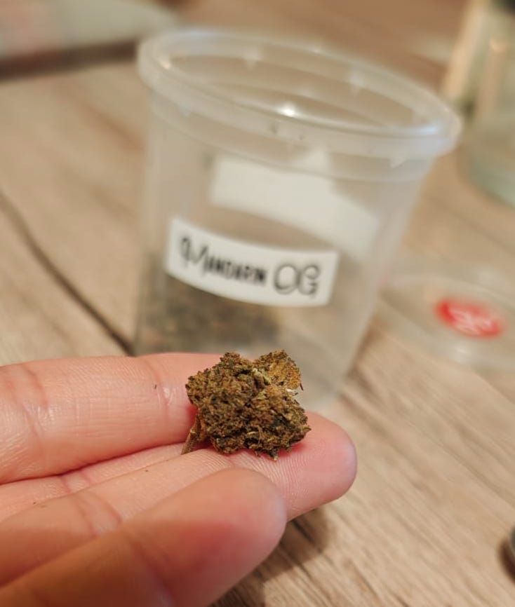 Immagine #1 da Elena