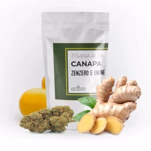Tisana Canapa Zenzero e Limone