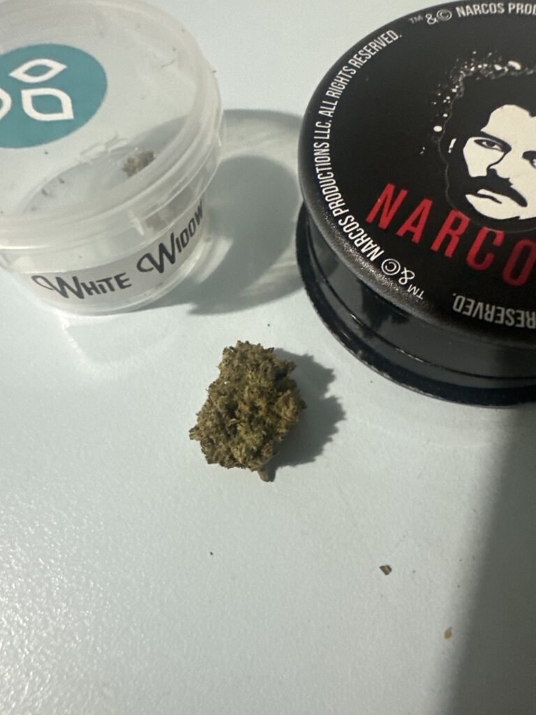 Immagine #1 da Dario