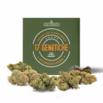 Kit 17 Genetiche