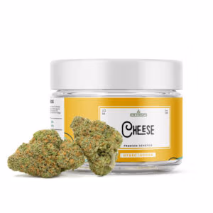 Cheese CBD