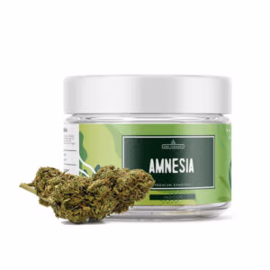 Amnesia Haze CBD