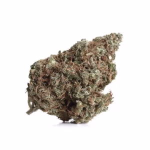 Cherry Kush CBD
