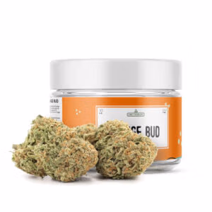 Orange Bud CBD