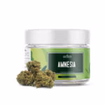 Amnesia - Small Buds 20 g