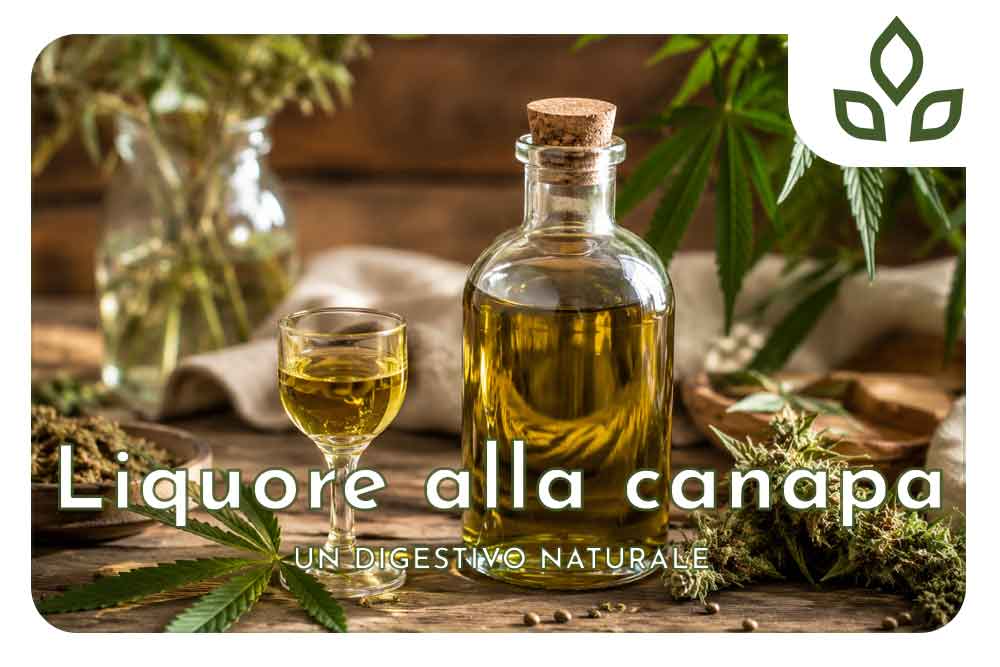 liquore alla canapa